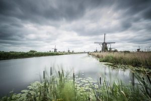 Home Tiny house vakantie in Nederland met pittoreske landschap en duurzame architectuur omgeven door natuur